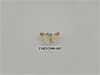 藏品(尺蛾645)的圖片